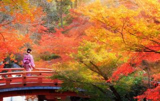 Wooden bridge amongst trees in a park in autumn, Kyoto Japan.